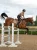 czaprak skokowy beżowy equestrian stockholm  (9).webp