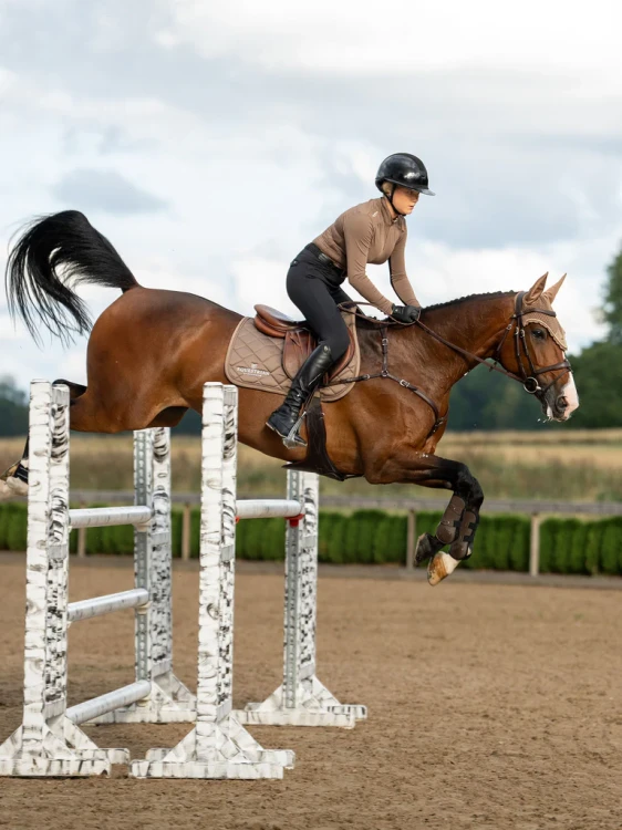czaprak skokowy beżowy equestrian stockholm  (9).webp