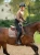 czaprak skokowy beżowy equestrian stockholm  (10).webp