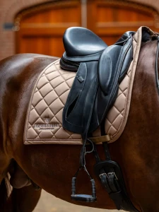 Czaprak Line Champagne Dressage Equestrian Stockholm