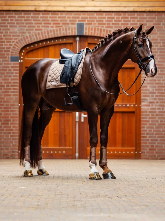 czaprak ujeżdżenioey beżowy equestrian stockholm  (8).webp
