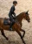 czaprak skokowy czarny equestrian stockholm  (2).webp