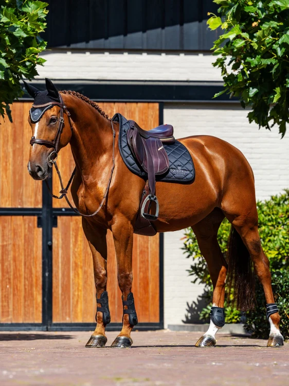 czaprak skokowy czarny equestrian stockholm  (4).webp