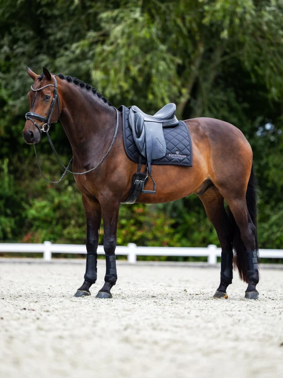czaprak ujeżdżeniowy czarny equestrian stockholm  (5).webp