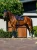 czaprak skokowy granatowy equestrian stockholm  (3).webp