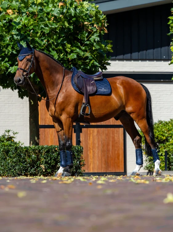 czaprak skokowy granatowy equestrian stockholm  (3).webp