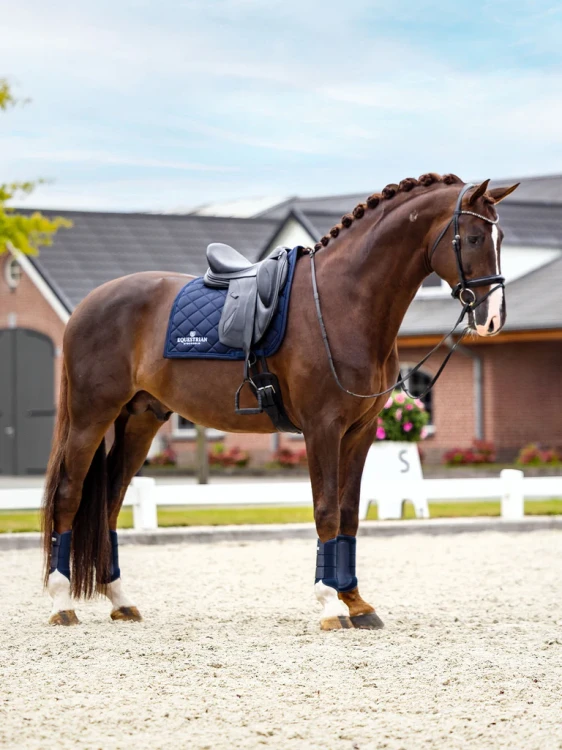 czaprak ujeżdżeniowy granatowy equestrian stockholm  (5).webp