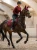 czaprak skokowy bordowy equestrian stockholm  (6).webp