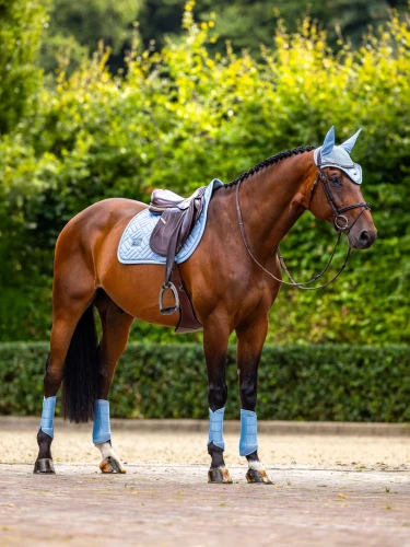 nauszniki błękitne equestrian stockholm  (2).webp