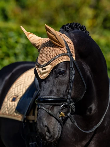 nauszniki złote equestrian stockholm  (1).webp