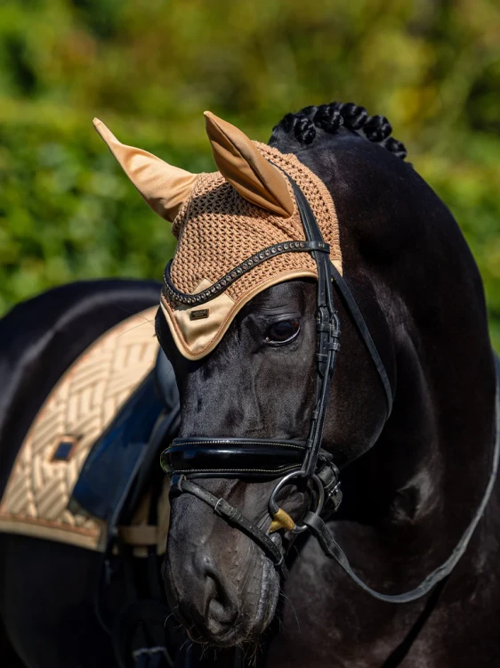 nauszniki złote equestrian stockholm  (1).webp
