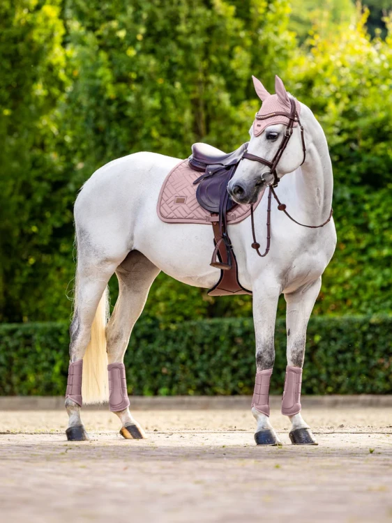 czaprak skokowy różowy equestrian stockholm  (5).webp