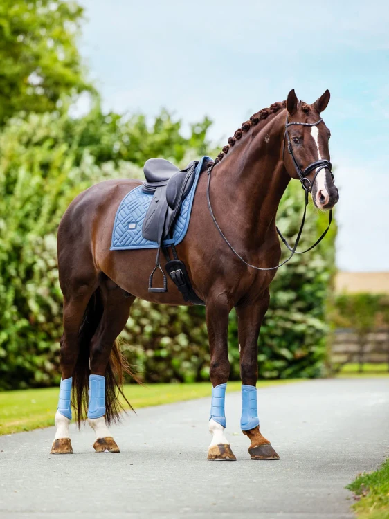 czaprak ujeżdżeniowy błękitny equestrian stockholm  (5).webp