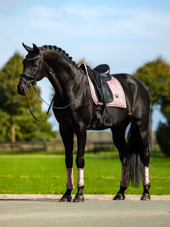 czaprak ujeżdzeniowy różowy equestrian stockholm  (5).webp