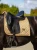 czaprak ujeżdżeniowy złoty equestrian stockholm  (1).webp