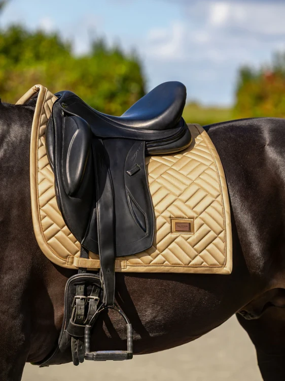 czaprak ujeżdżeniowy złoty equestrian stockholm  (1).webp
