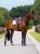 nauszniki wyciszające zielone sycamore green equestrian stockholm  (6).webp