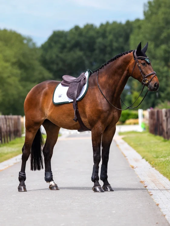 nauszniki wyciszające zielone sycamore green equestrian stockholm  (6).webp