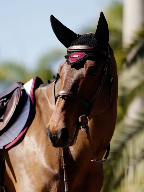 nauszniki wyciszające bordowe merlot equestrian stockholm  (4).webp