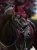 nauszniki bordowe merlot equestrian stockholm  (1).webp