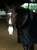 kantar anatomiczny czarny equestrian stockholm  (3).webp