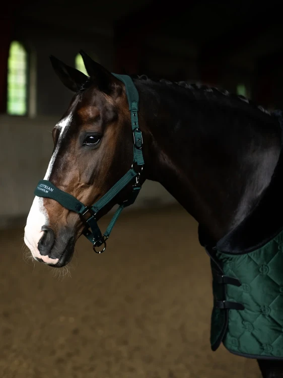kantar anatomiczny zielony sycamore green equestrian stockholm  (3).webp