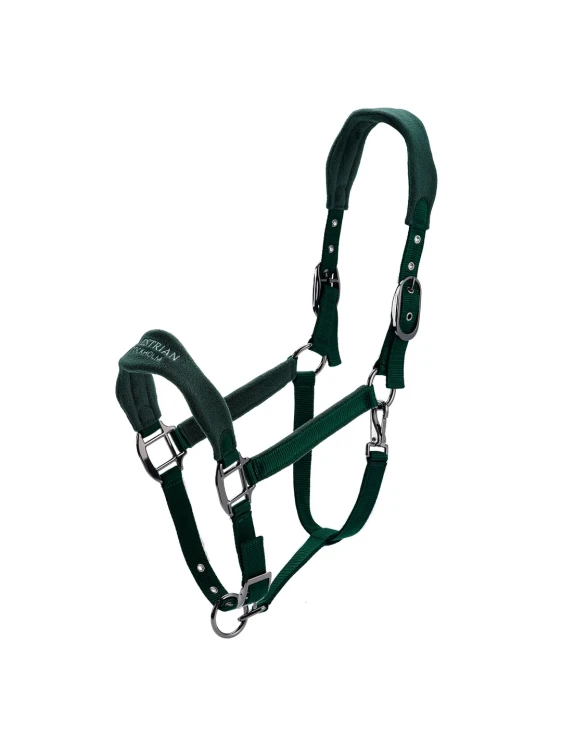 kantar anatomiczny zielony sycamore green equestrian stockholm  (4).webp
