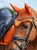nauszniki pomarańczowe chestnut velvet equestrian stockholm  (3).webp
