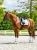 czaprak ujeżdżeniowy biały zielony sycamore equestrian stockholm  (10).webp