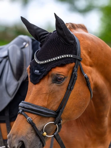 nauszniki czarne velvet Equestrian Stockholm  (1).webp