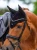 nauszniki czarne velvet Equestrian Stockholm  (1).webp