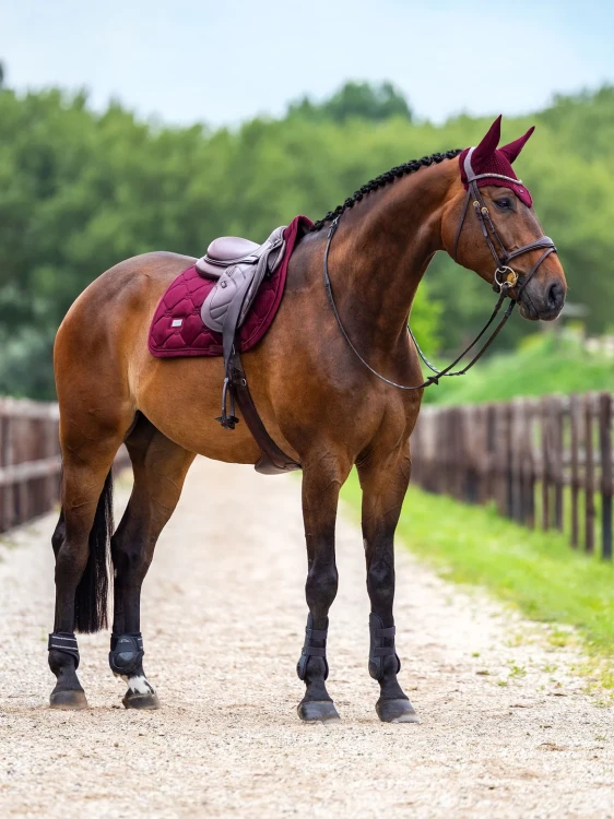 czaprak skokowy bordowy merlot velvet equestrian stockholm  (4).webp