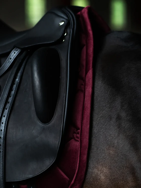 czaprak ujeżdżeniowy merlot bordowy equestrian stockholm  (3).webp
