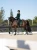 czaprak ujeżdżeniowy zielony sycamore velvet equestrian stockholm  (6).webp