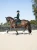 czaprak ujeżdżeniowy zielony sycamore velvet equestrian stockholm  (7).webp