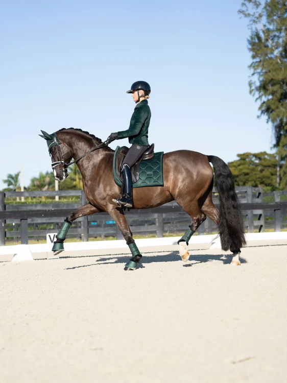 czaprak ujeżdżeniowy zielony sycamore velvet equestrian stockholm  (7).webp