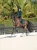 czaprak ujeżdżeniowy zielony sycamore velvet equestrian stockholm  (8).webp