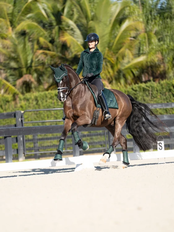 czaprak ujeżdżeniowy zielony sycamore velvet equestrian stockholm  (8).webp