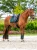czaprak ujeżdżeniowy zielony sycamore velvet equestrian stockholm  (13).webp