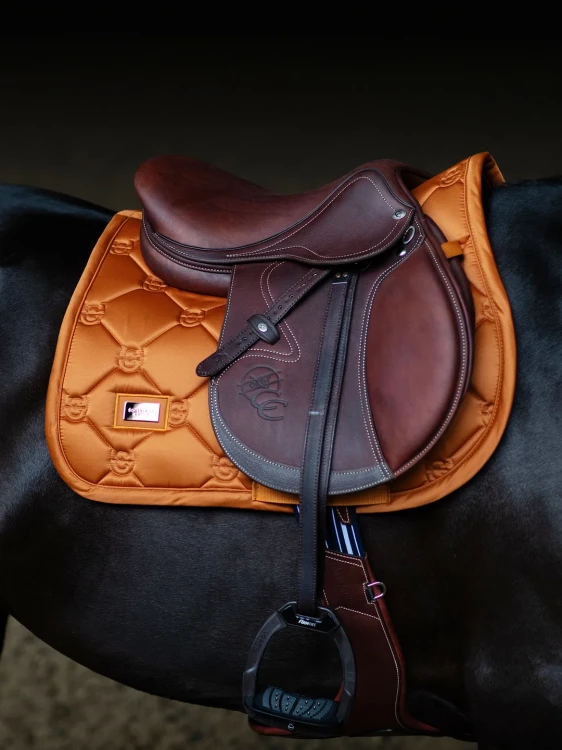 czaprak skokoy chestnut pomarańczowy equestrian stockholm  (2).webp