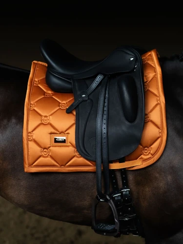 czaprak ujeżdżeniowy chestnut pomarańczowy equestrian stockholm  (2).webp