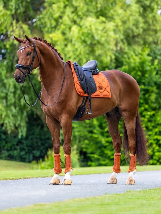 czaprak ujeżdżeniowy chestnut pomarańczowy equestrian stockholm  (9).webp