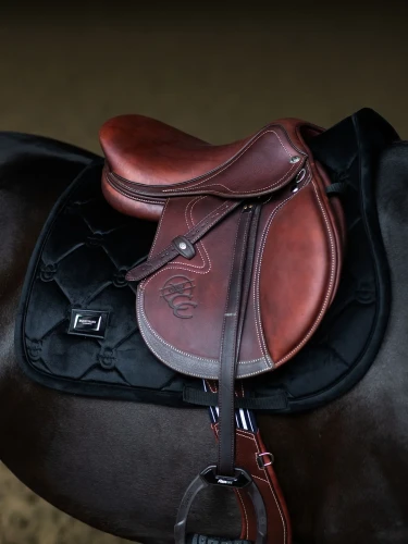 czaprak velvet black czarny skokowy equestrian stockholm  (1).webp