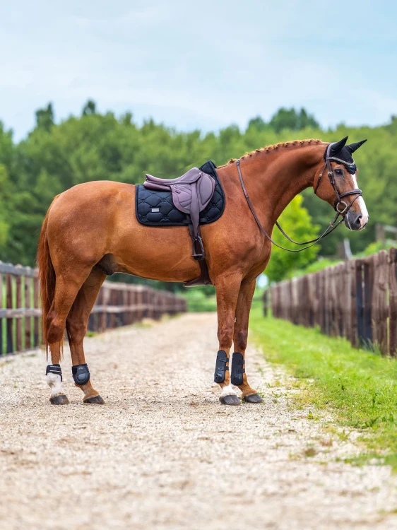 czaprak velvet black czarny skokowy equestrian stockholm  (9).webp