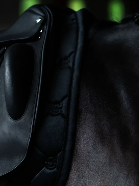 czaprak black czarny velvet equestrian stockholm  (3).webp