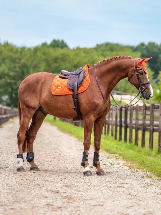 czaprak skokowy chestnut equestrian stockholm  (7).webp