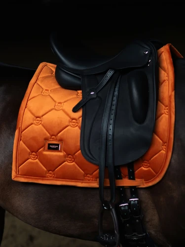 czaprak ujeżdżeniowy velvet chestnut equestrian stockholm  (1).webp