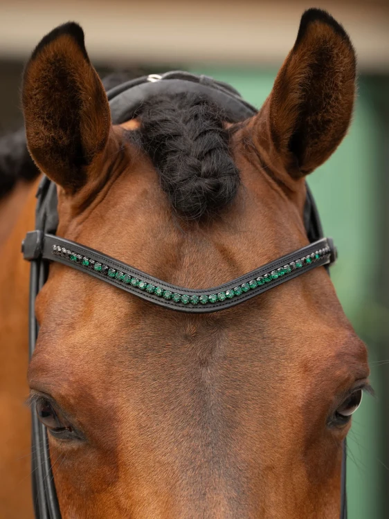 naczółek sycamore green equestrian stockholm  (1).webp