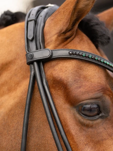 naczółek sycamore green equestrian stockholm  (9).webp
