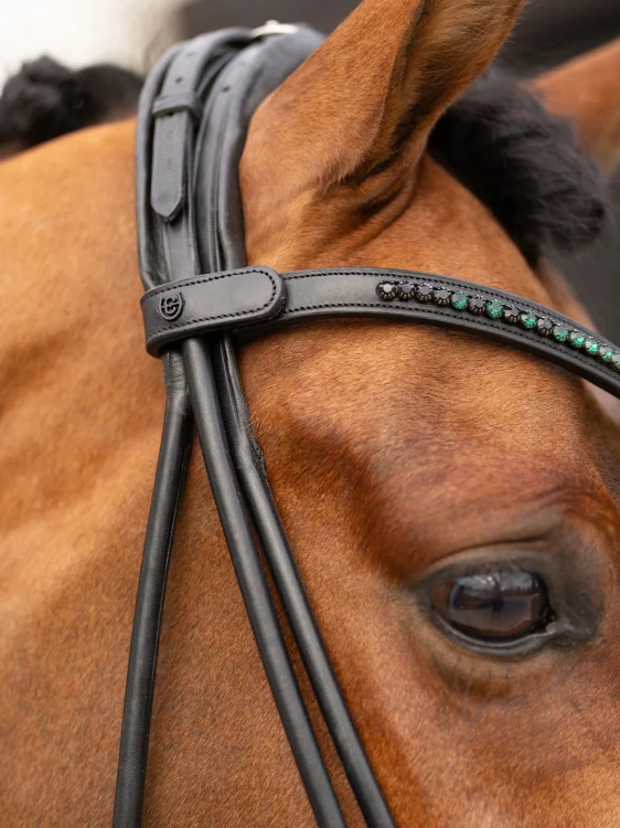 naczółek sycamore green equestrian stockholm  (9).webp